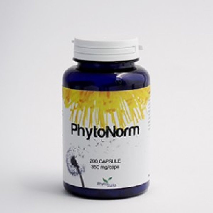 Phytonorm Nahrungsergänzungsmittel 60 Tabletten