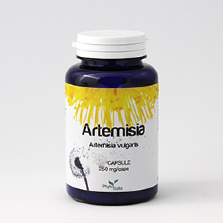 Phytoitalia Artemisia Nahrungsergänzungsmittel 60 Kapseln