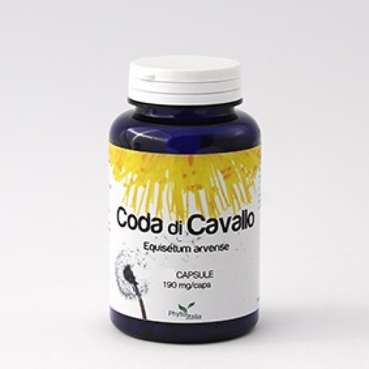 Phytoitalia Coda Di Cavallo Equisetum Arvense Nahrungsergänzungsmittel 60 Kapseln