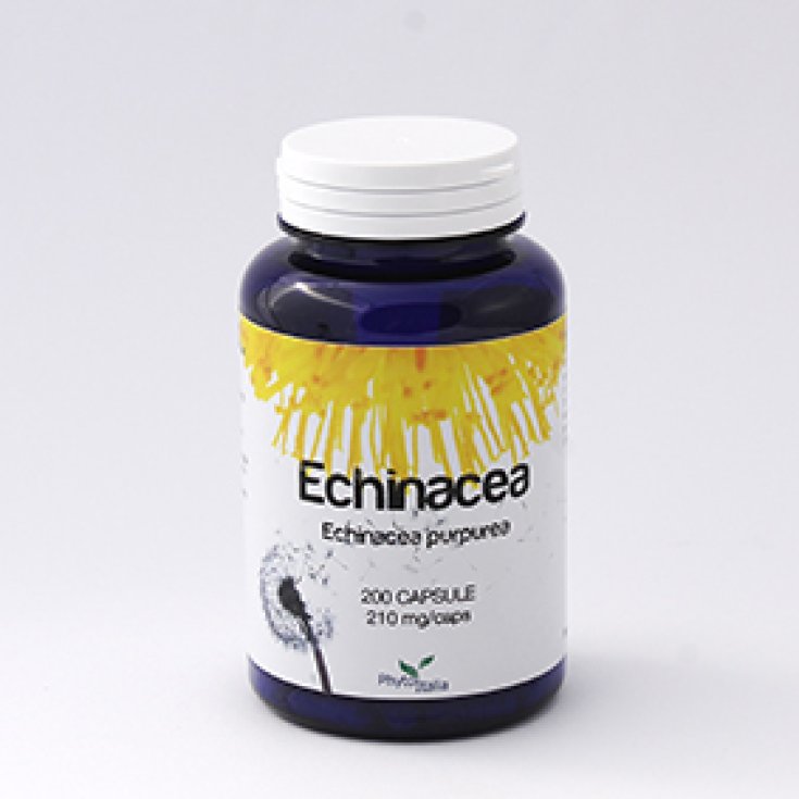 Phytoitalia Echinacea Nahrungsergänzungsmittel 60 Tabletten