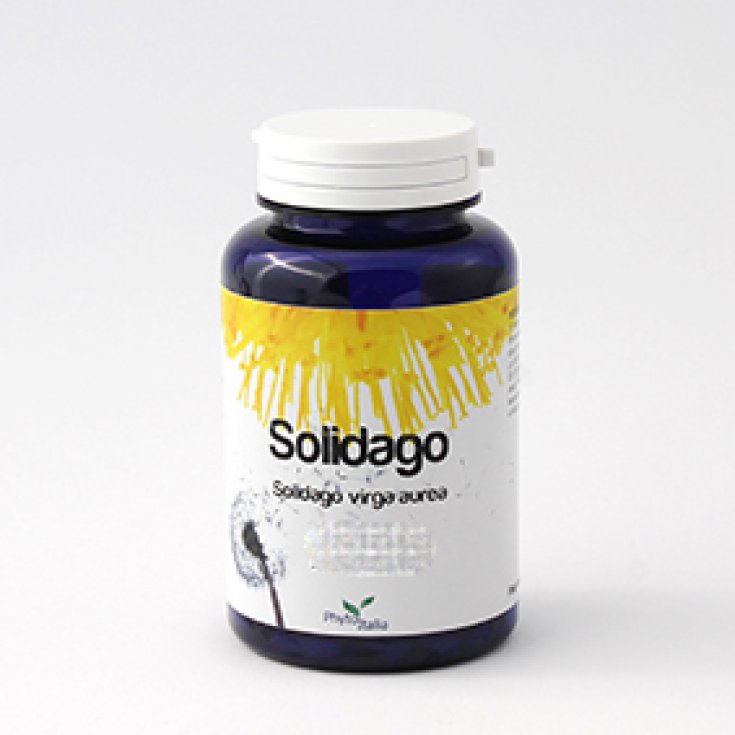 Phytoitalia Solidago Nahrungsergänzungsmittel 60 Kapseln