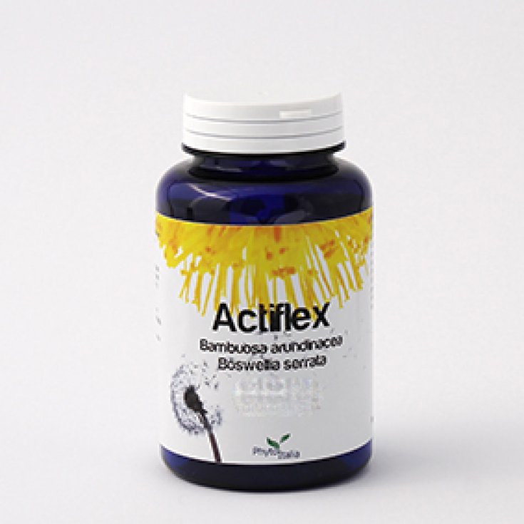Phytoitalia Actiflex Nahrungsergänzungsmittel 60 Kapseln