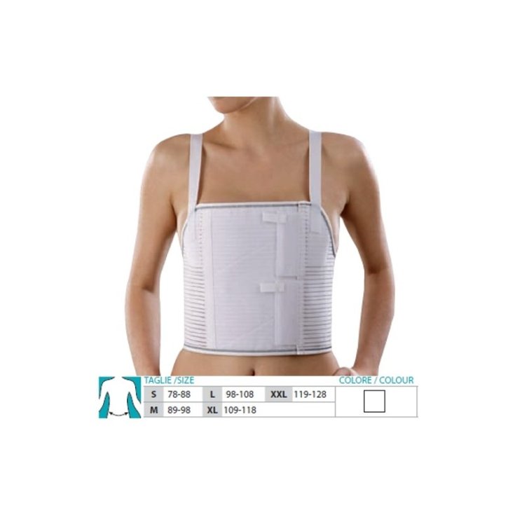 Safte Orione Brustgurt mit Hosenträgern Größe M Einzelstück Ref. 3099