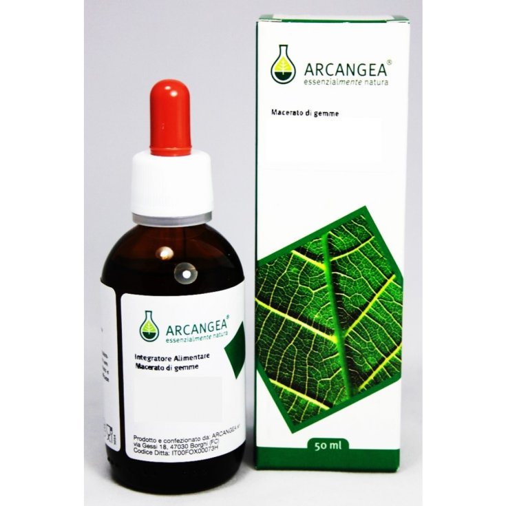 Arcangea Tilia Tomentosa Knospenextrakt 100ml