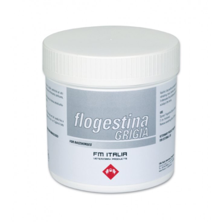 FM Italia Flogestina Graue Mineralpaste für Pferde 1kg