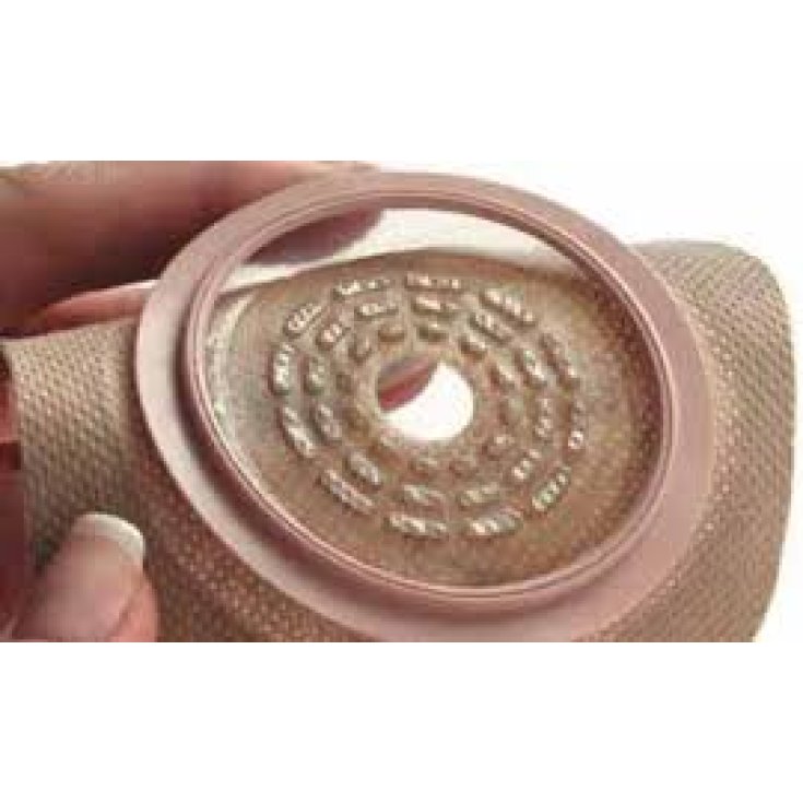 Hollister Conform 2 Konvexe Platte 13–51 mm