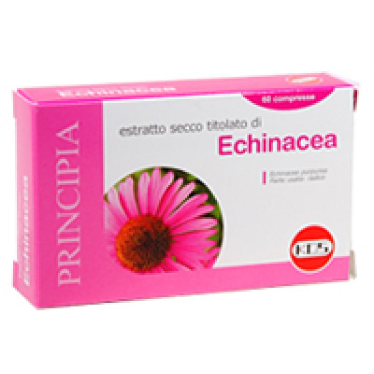 Kos Echinacea Trockenextrakt Nahrungsergänzungsmittel 60 Tabletten