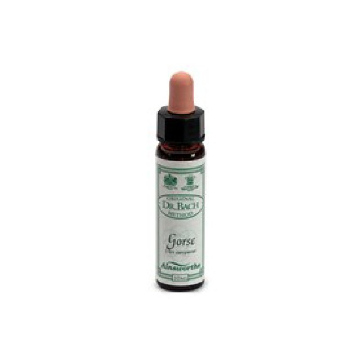 Santiveri Ainsworths Ginster Bachblüten 10ml