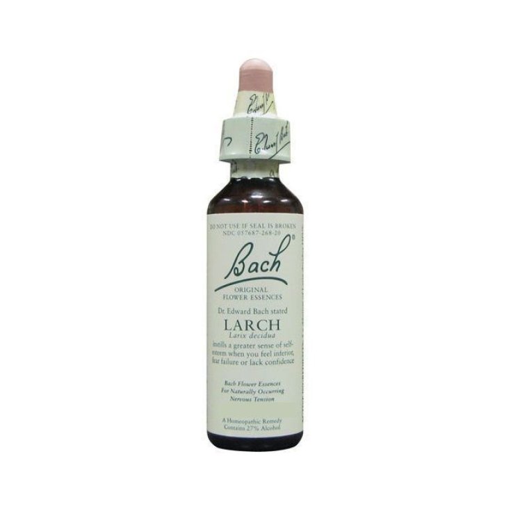 Santiveri Ainsworths Lärche Bachblüten 10ml