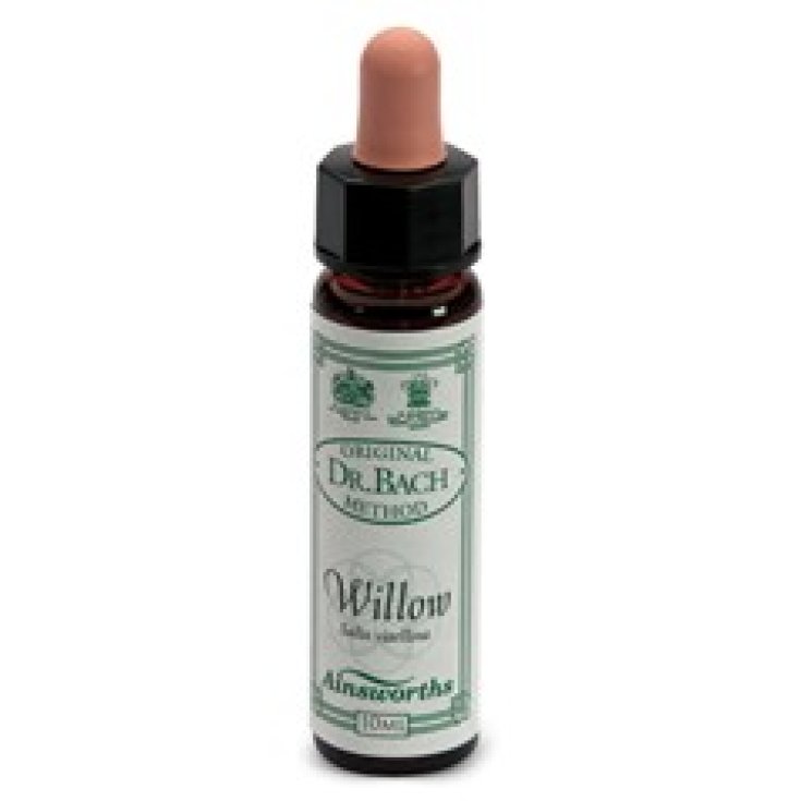 Santiveri Ainsworths Willow Nahrungsergänzungsmittel 10ml