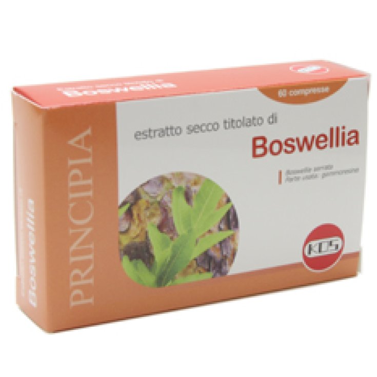 Kos Boswellia Trockenextrakt Nahrungsergänzungsmittel 60 Tabletten