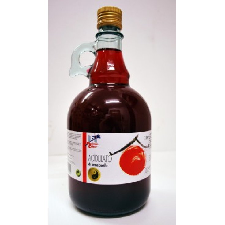 Das Fenster zum gesäuerten Himmel von Umeboshi Macrobiotic 1l