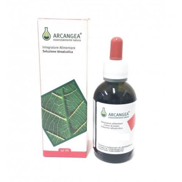 Arcangea Carpinus Betulus Circulatum Nahrungsergänzungsmittel 50ml
