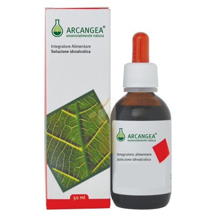 Arcangea Ficus Carica Circulatum Nahrungsergänzungsmittel 50ml