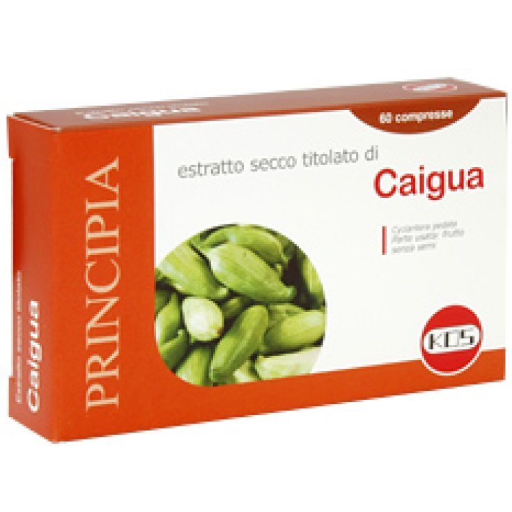 Kos Caigua Trockenextrakt Nahrungsergänzungsmittel 60 Tabletten von 22,2 g