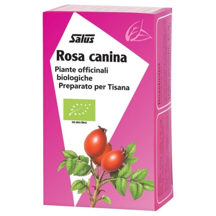 Salus Rosa Canina Bio-Kräutertee 15 Filter