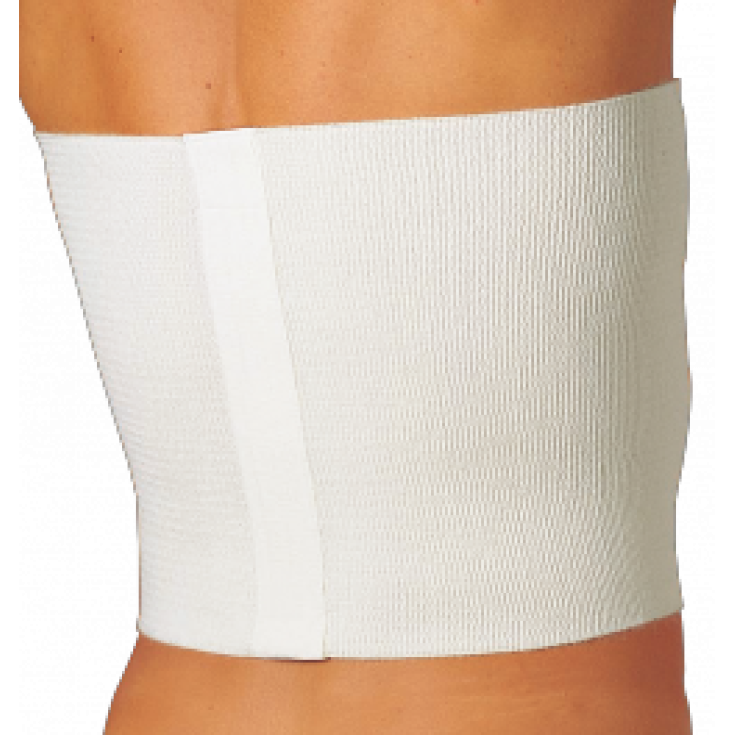 Gibaud Thermotherapy Line Lichtgürtel 24cm Maß De