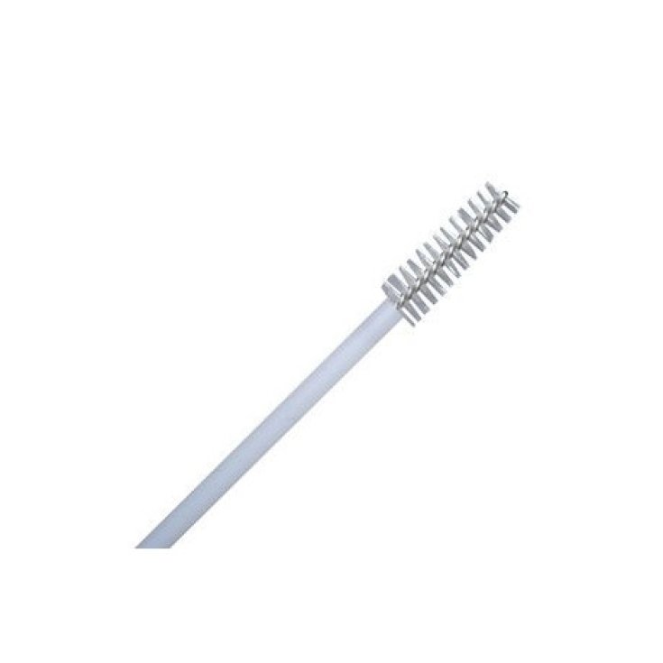 Pharmacare Endocervical Sampling Toothbrush 10 Zahnbürsten