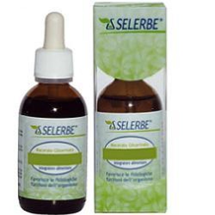 Selerbe Birke Linfa Nahrungsergänzungsmittel 50ml Mg