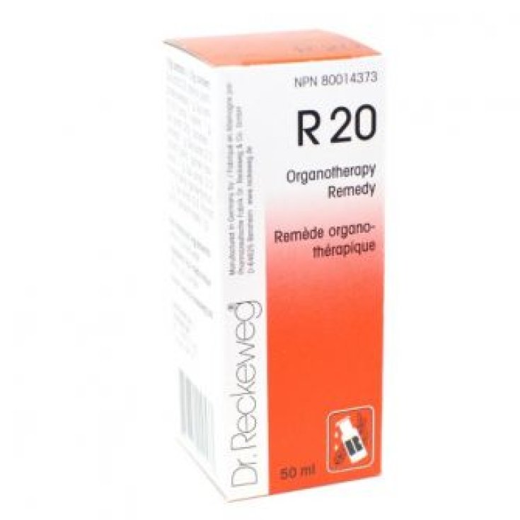 Dr. Reckeweg R20 Homöopathisches Mittel in Tropfen 22ml