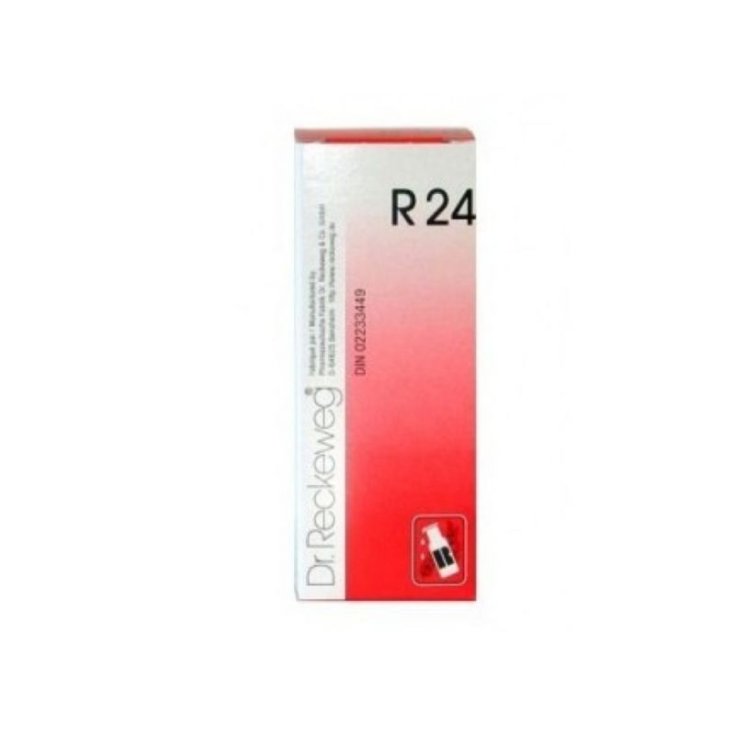 Dr. Reckeweg R24 Homöopathisches Mittel in Tropfen 22ml