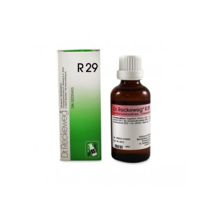 Dr. Reckeweg R29 Homöopathisches Mittel in Tropfen 22ml