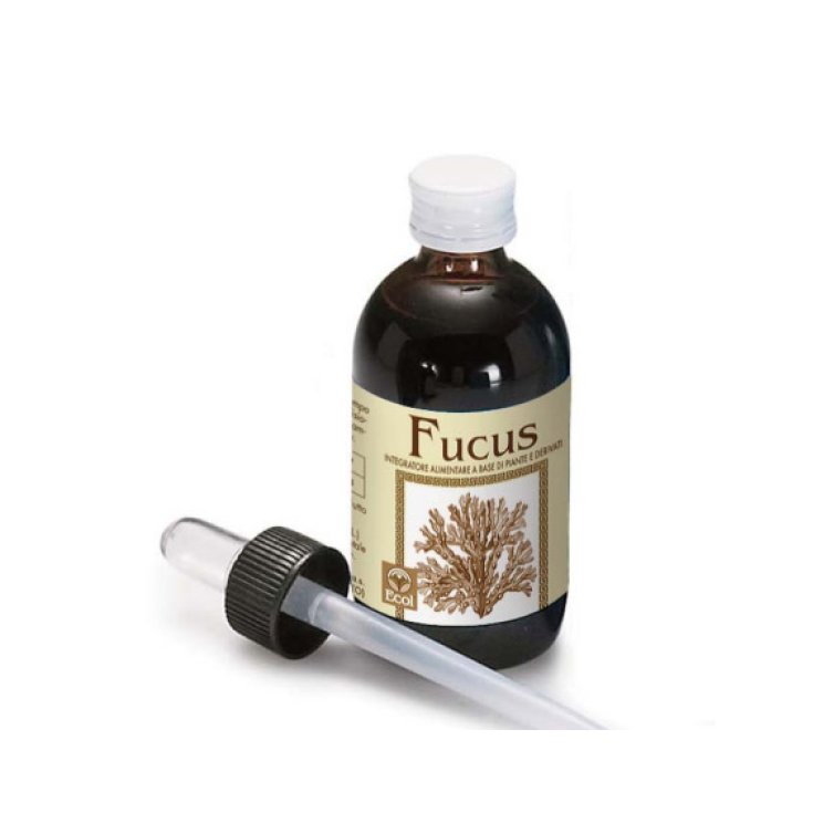 Fucus-Extrakt Alkoholfrei 50ml