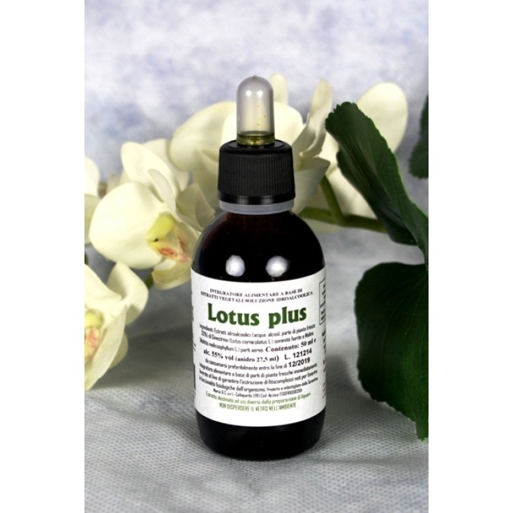 Lotus Plus Tropfen 30% 50ml