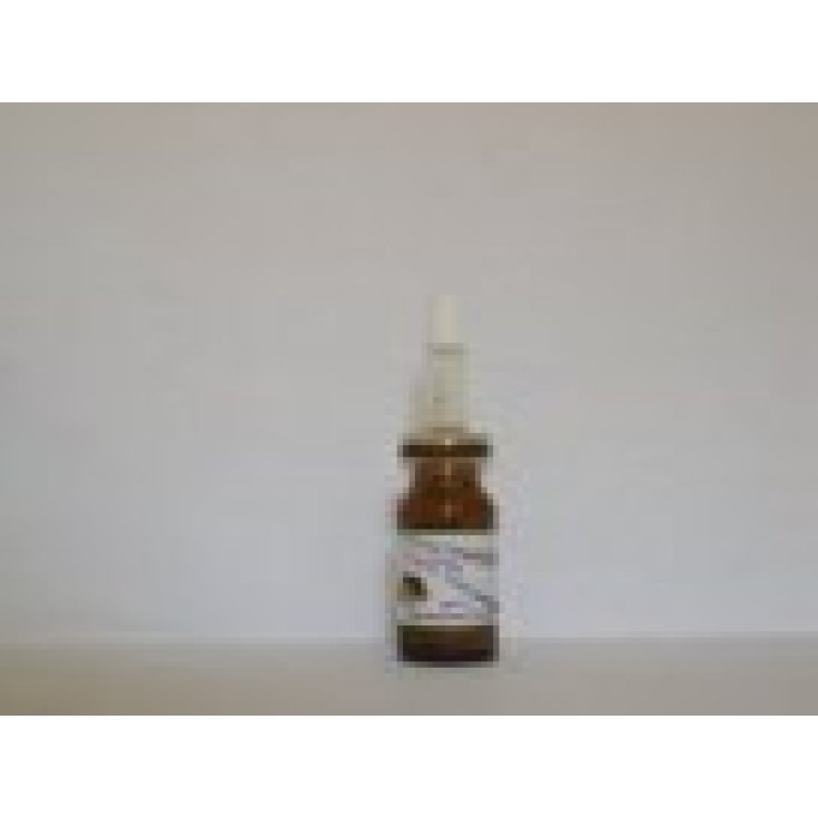 Sidea Staminali Uva Konzentriertes Serum 10ml