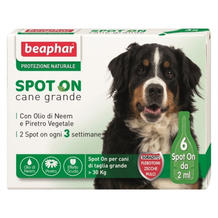 Beaphar Natürlicher Schutzfleck für Hunde, große Größe, 6 Stück