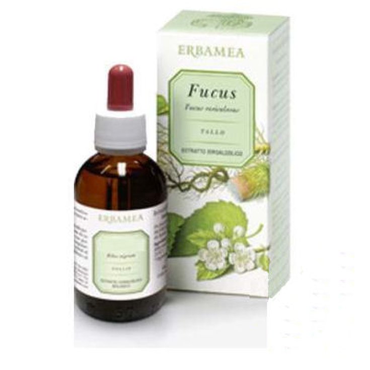 Erbamea Fucus Nahrungsergänzungsmittel 50ml