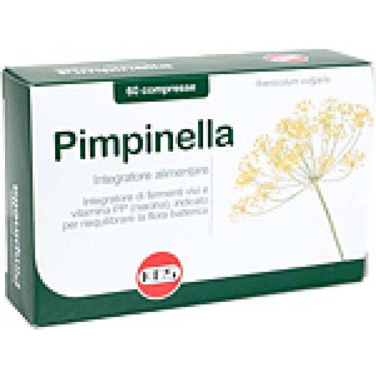 Kos Pimpinella Nahrungsergänzungsmittel 60 Tabletten