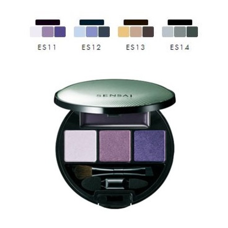 Kanebo Lidschatten Pallete Eyeshadows Es11 4,5g