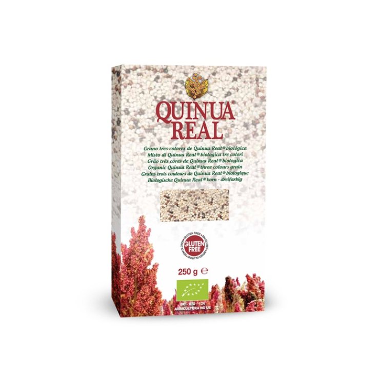 Quinua Real Mix Quinoa dreifarbig Bio 250g