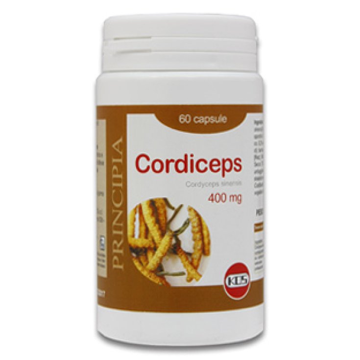 Kos Cordiceps Trockenextrakt Nahrungsergänzungsmittel 60 Kapseln