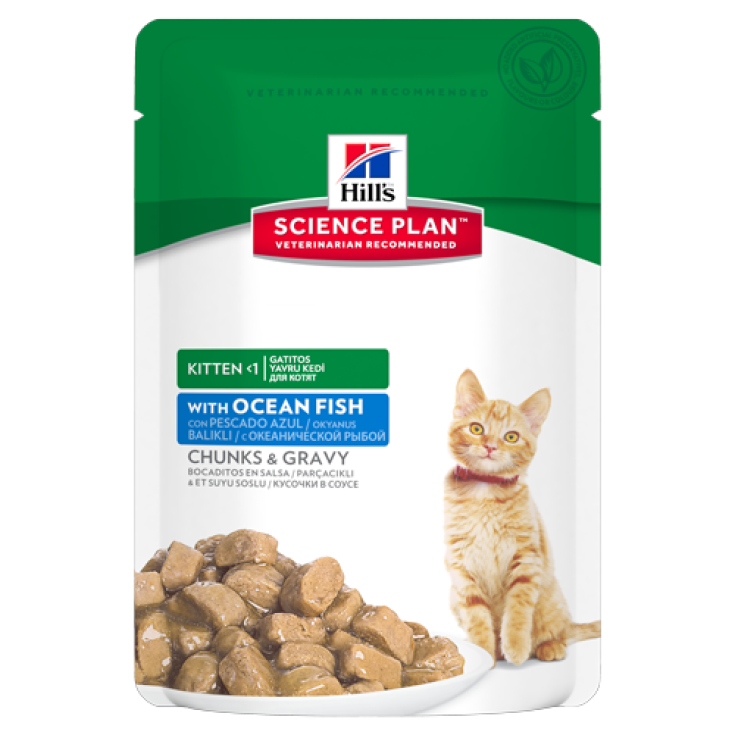 Hill's Science Plan Feline Kitten mit Meeresfisch 85 g