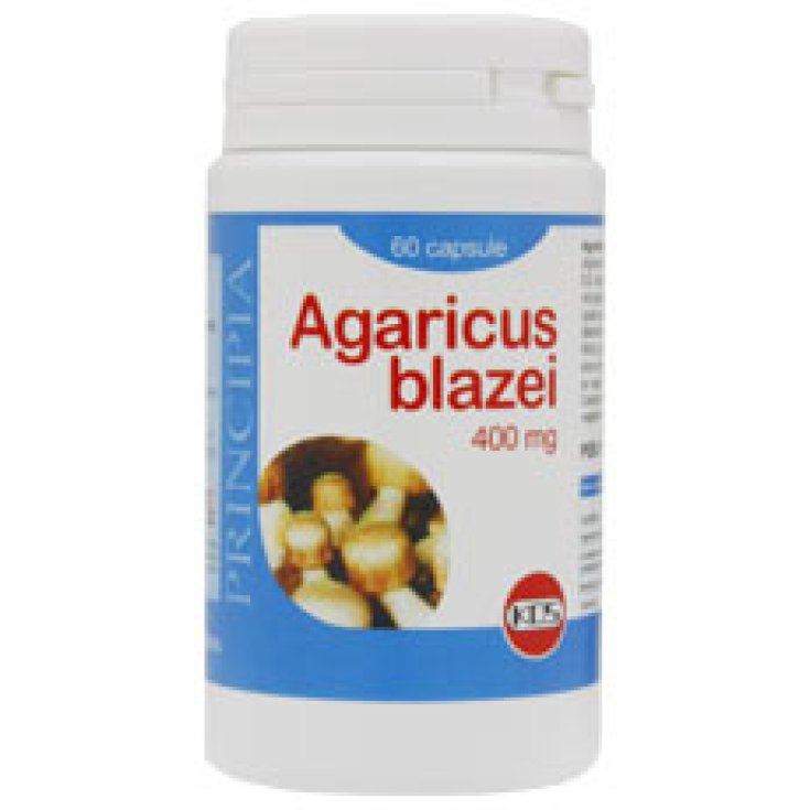 Kos Agaricus Blazei Nahrungsergänzungsmittel 60 Kapseln