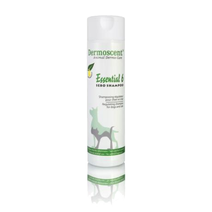 Dermoscent Essential 6 Sebum Shampoo für Haustiere 200ml