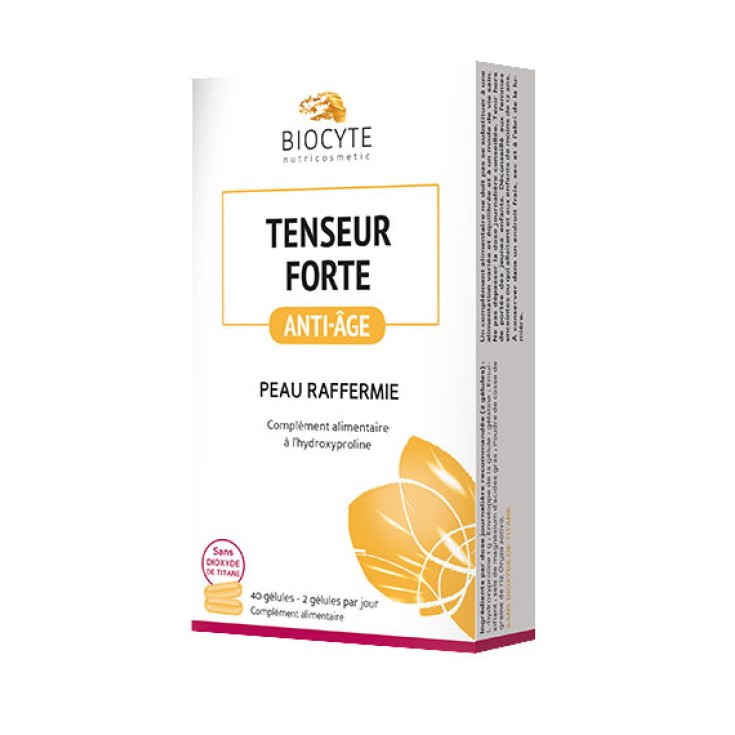 Byocite Tenseur Forte Nahrungsergänzungsmittel 40 Kapseln