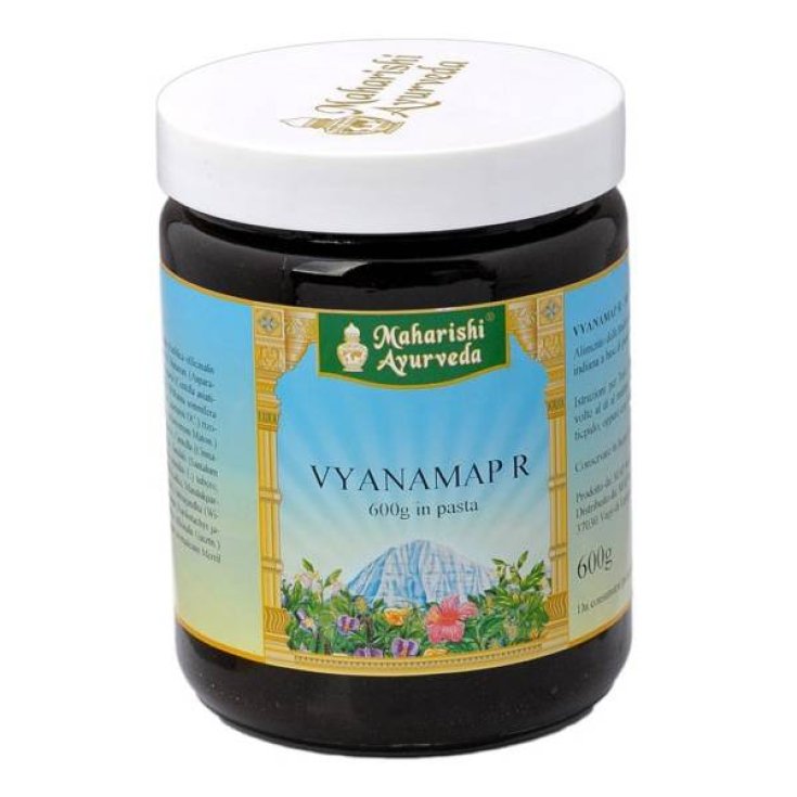 Vyanamap Pasta Ayurveda-Ergänzung 600g