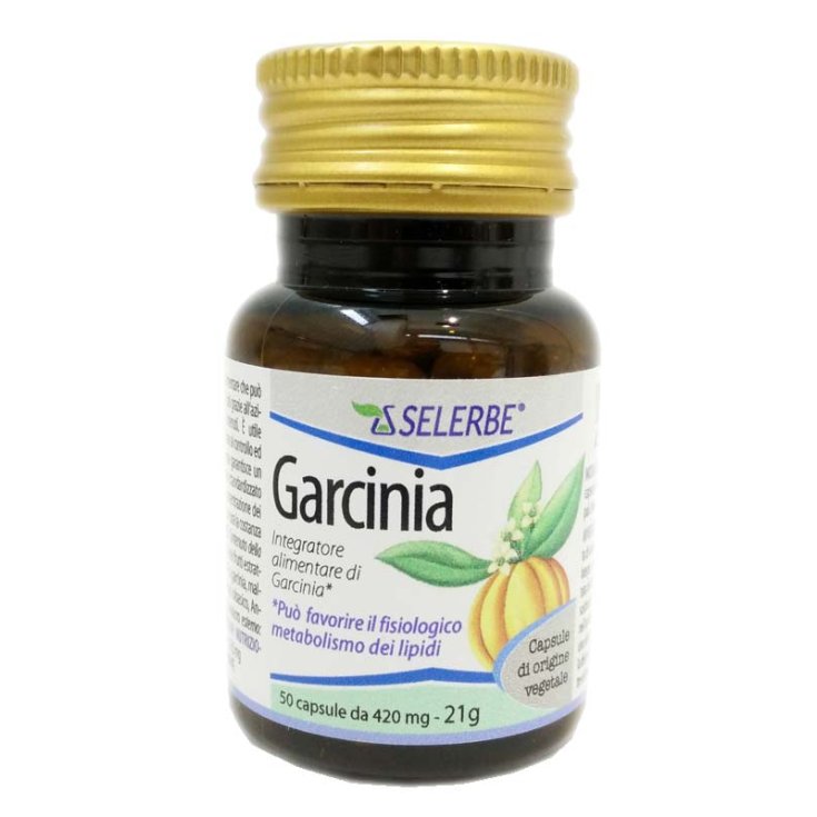 Selerbe Garcinia Essenzen 60% 500g