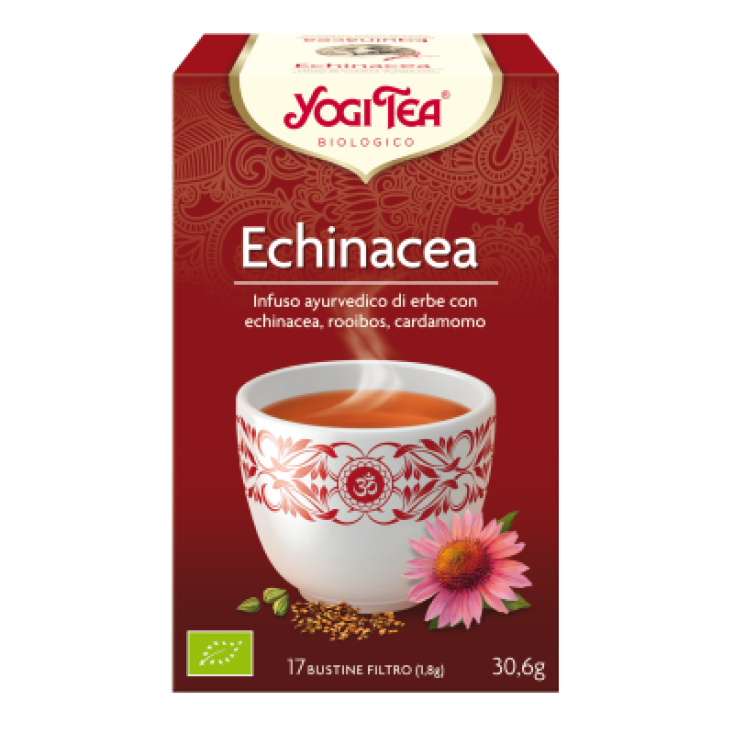 Yogi Tee Yogitea Schutz mit Equinacea 30g 17 Bols