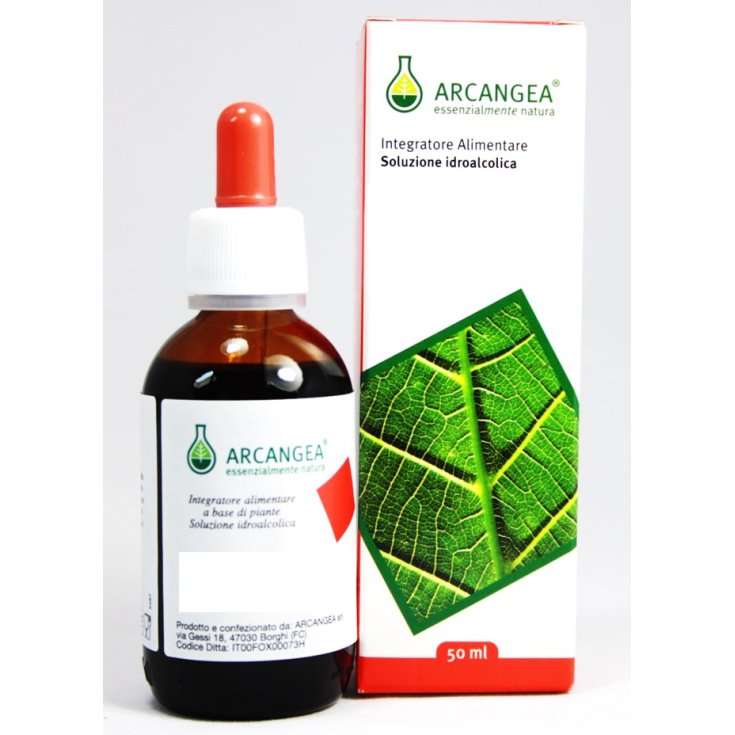 Arcangea Passiflora Bio Hydroalkoholische Lösung 50ml