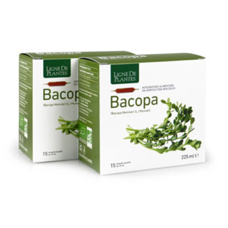 Ligne De Plantes Bacopa Nahrungsergänzungsmittel 15 Ampullen à 15 ml
