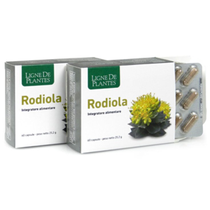 Ligne De Plantes Rodiola Nahrungsergänzungsmittel 45 Kapseln