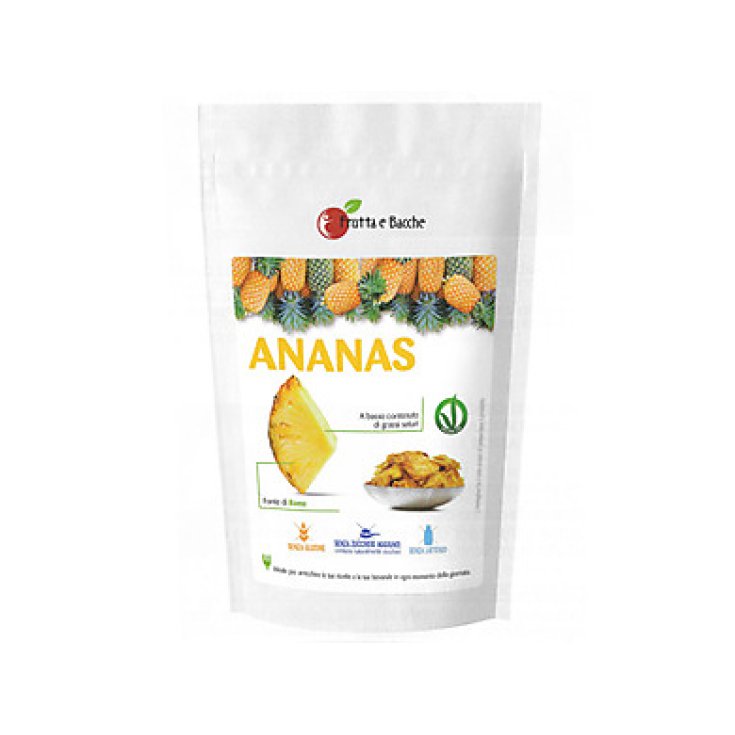 Fruit And Berries Bio getrocknete Ananas zuckerfrei dehydrierte Früchte 100g