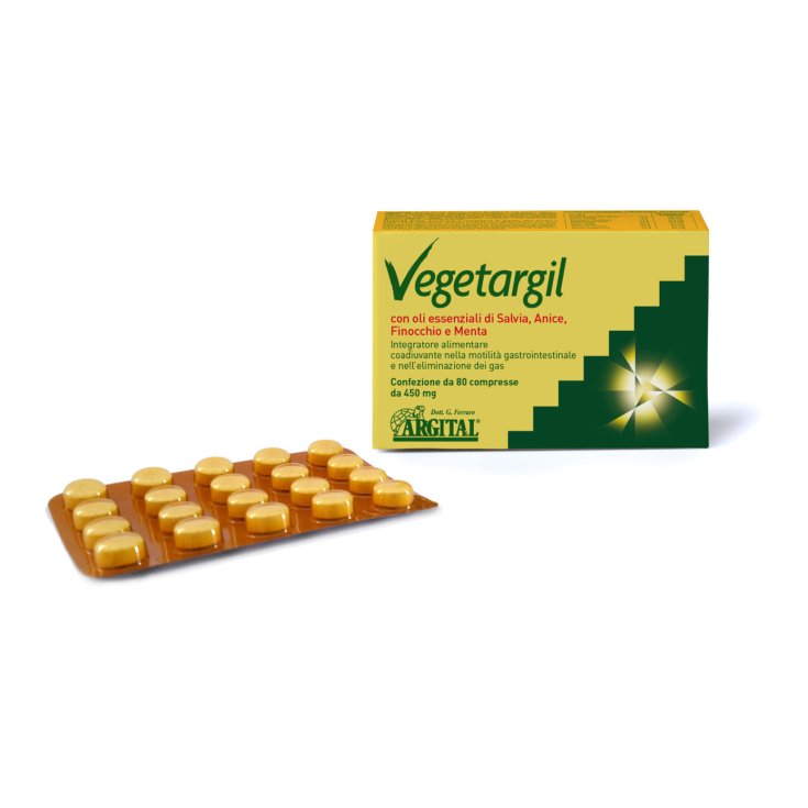 Vegetargil Nahrungsergänzungsmittel 80 Tabletten