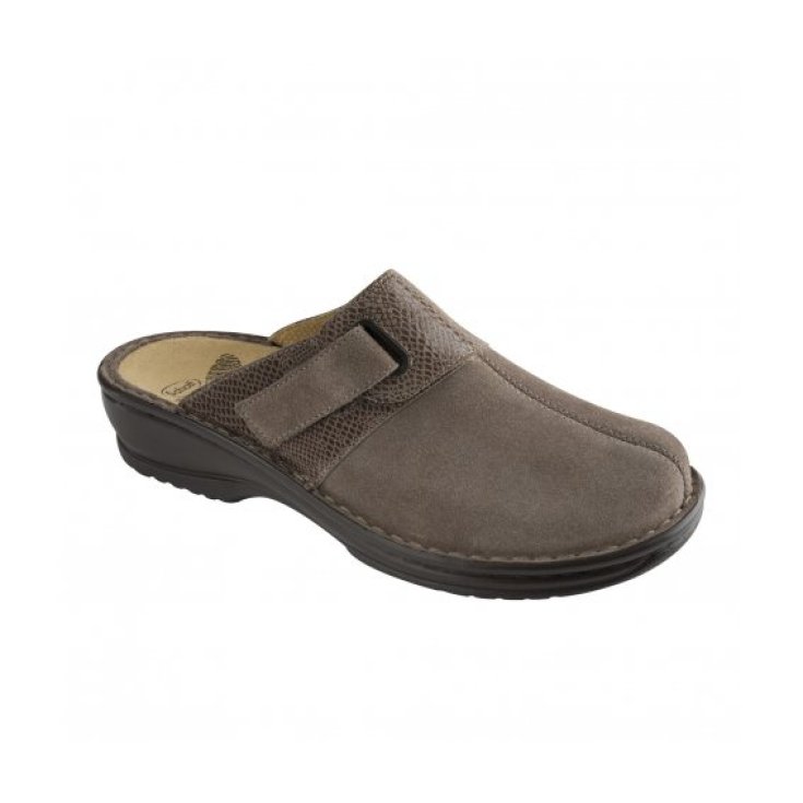 Scholl Iraty Wildlederschuh Taupe Farbnummer 35
