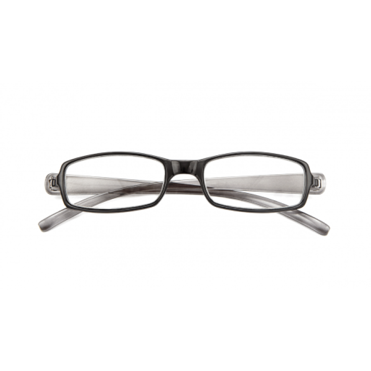 Twins Optical Silver Doppel-Lesebrille Dioptrie +2,50