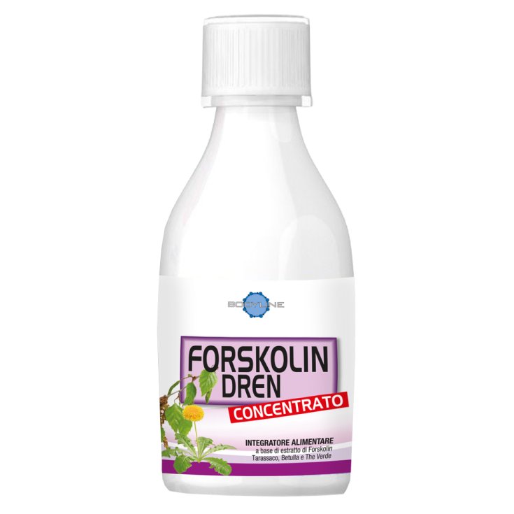 Bodyline Forskolin Dren Konzentrat Nahrungsergänzungsmittel 250ml